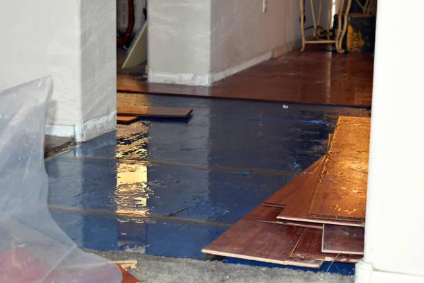 Professional Water Extraction technician working in Glenbeulah, WI